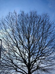 IMG_20240308_143344.jpg