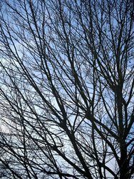 IMG_20240308_143347.jpg