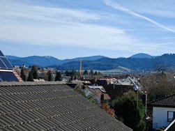 IMG_20240302_112318.jpg