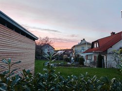 IMG_20240301_181937.jpg