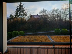 IMG_20240228_161151.jpg