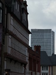 IMG_2447.jpeg