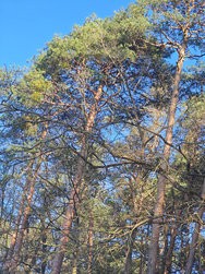 photo_jpg-l.jpg