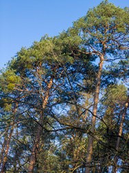 photo_dng.jpg