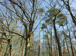 3D-Bild 4 S24U S34U 12MP.JPG