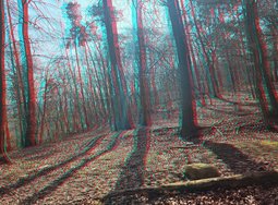 3D-Bild 6 S24U S34U 12MP.JPG