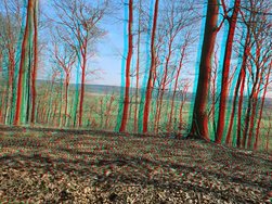 3D-Bild 5 S24U S34U 12MP.JPG
