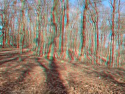 3D-Bild 1 S24U S34U 12MP.JPG
