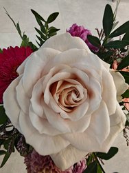 6 0,5 127 Blume weiß.jpg
