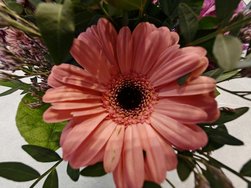 6 0,5 127 Blume rosa.jpg