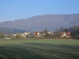 20240309_075333.jpg