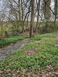 20240310_081504.jpg