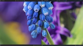 Screenshot (33).jpeg