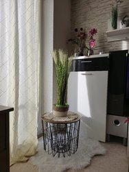 20240310_162153.jpg