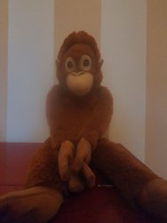 20240310_173555.jpg