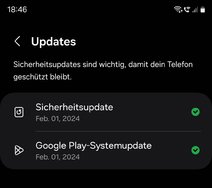 Screenshot_20240311_184603_Settings.jpg