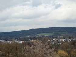 PXL_20240312_130854283.jpg