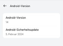 C.30 Februar Security Patch.jpg