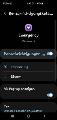 Screenshot_20240313_175438_Settings.jpg