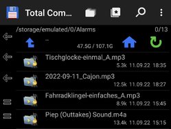 Screenshot_20240313_221349_Total Commander.jpg
