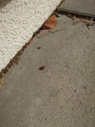 20240314_113248.JPG