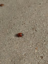 20240314_113304.JPG