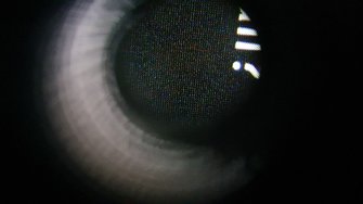 20240314_095515.jpg