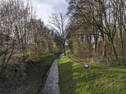 PXL_20240314_154244536.jpg