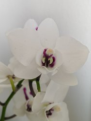 IMG_20240315_124348382.jpg