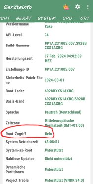 Screenshot_20240315_201538_DevInfo.jpg