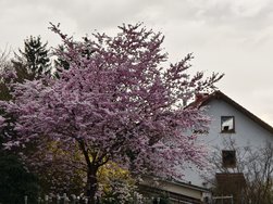 IMG_20240315_174645.jpg