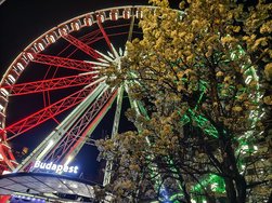 IMG_20240315_211235.jpg