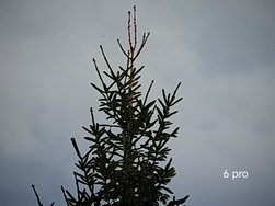 IMG_20240316_091604.jpg
