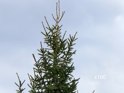 IMG_20240316_092141.jpg