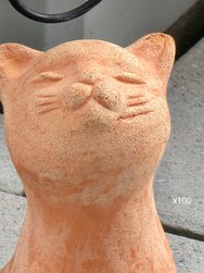 IMG_20240316_092223.jpg