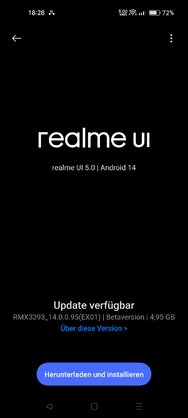 RMX3393_14.jpg