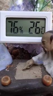 1710623338468.jpeg