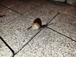 IMG_20240316_214326.jpg