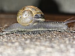 IMG_20240316_214406.jpg