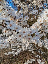 IMG_20240317_171327.jpg