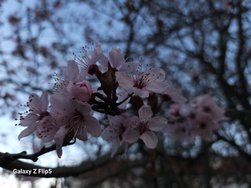 20240315_070808.jpg