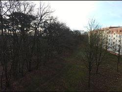 ScreenShot Pro-DNG.jpg