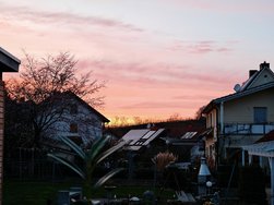 IMG_20240301_181934.jpg