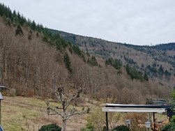 IMG_20240303_121004.jpg