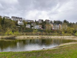 IMG_20240318_124509370.jpg