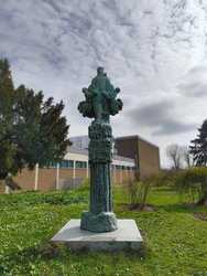 IMG_20240318_135331403.jpg