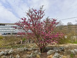 IMG_20240318_135259429.jpg