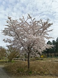 IMG_20240318_135029187.jpg