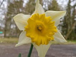 IMG_20240318_134905714.jpg