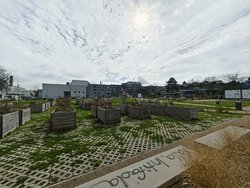 IMG_20240318_134047846.jpg